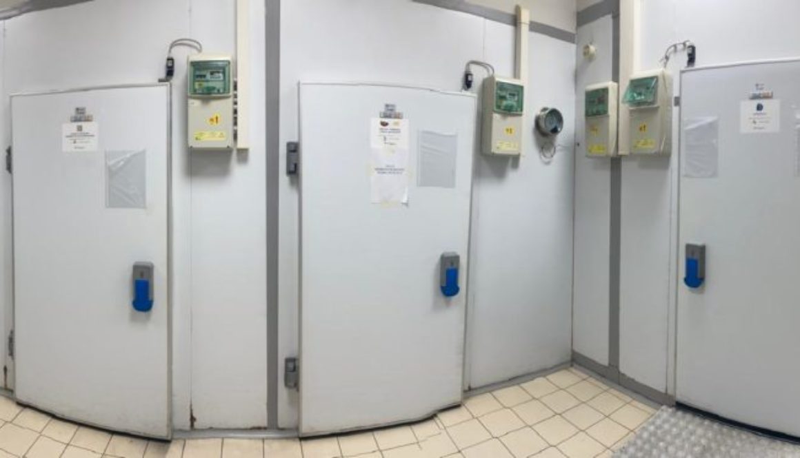 Immagine WhatsApp 2025-03-15 ore 18.00.14_d409328a Celle frigorifere industriali