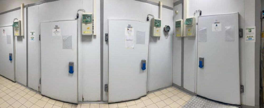 Immagine-WhatsApp-2025-03-15-ore-18.00.14_d409328a